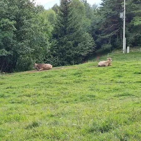 Idyllisches Haus In Der *