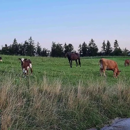 Idyllisches Haus In Der *
