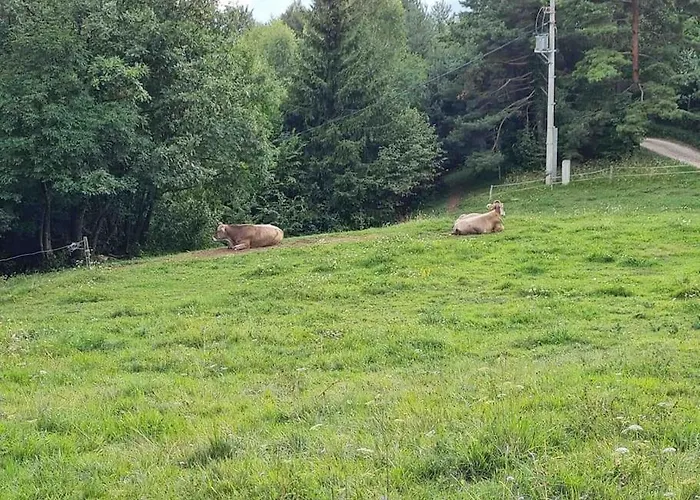 Idyllisches Haus In Der *