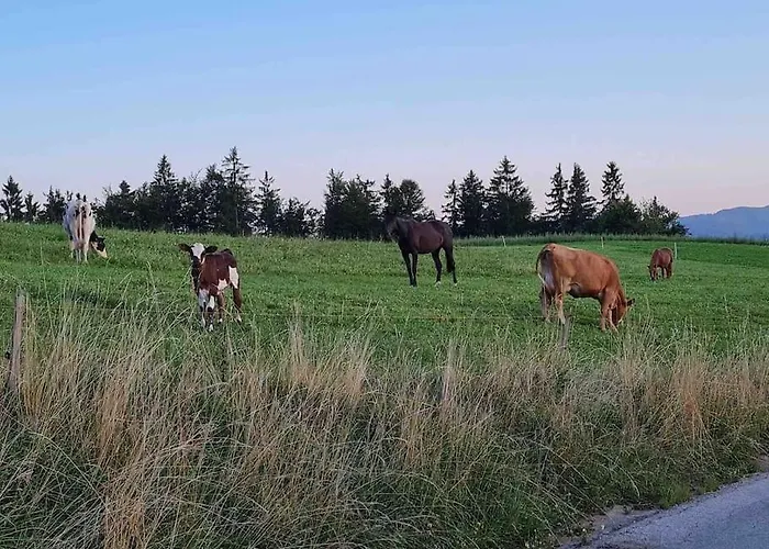 Idyllisches Haus In Der *